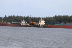 Ảnh minh họa. (Nguồn: TTXVN)