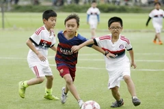 Ảnh minh họa. (Nguồn: TTXVN)