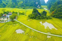 Ngôi đền cổ Thái Vi nằm giữa thung lũng lúa chín vàng và được bao quanh bởi những dãy núi. (Ảnh: Minh Đức/TTXVN)