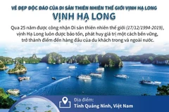 [Infographics] Vẻ đẹp độc đáo của di sản thế giới Vịnh Hạ Long