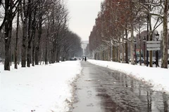 Tuyết rơi trắng xóa tại Paris, Pháp ngày 22/1/2019. (Ảnh: AFP/TTXVN)