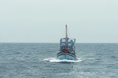 Ảnh minh họa. (Nguồn: TTXVN)