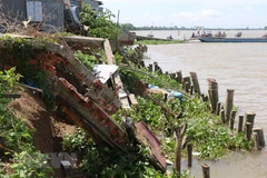 Ảnh minh họa. (Nguồn: TTXVN)