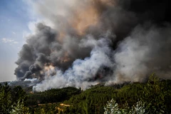 Ảnh minh họa. (Nguồn: AFP/TTXVN)