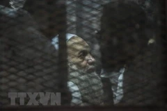 Một thành viên thuộc Tổ chức Anh em Hồi giáo tại phiên tòa ở thủ đô Cairo năm 2016. (Nguồn: AFP/TTXVN)