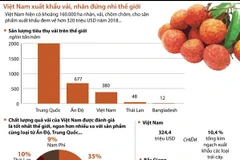 [Infographics] Việt Nam đứng thứ hai thế giới về xuất khẩu vải, nhãn