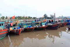 Tàu, thuyền vào neo đậu tránh bão. (Ảnh: An Đăng/TTXVN) 