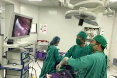 Ảnh minh họa. (Nguồn: Vietnam+)