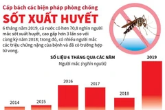 [Infographics] Cấp bách các biện pháp phòng chống sốt xuất huyết