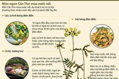 [Infographics] Thưởng thức món ngon Cần Thơ mùa nước nổi