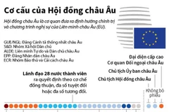 [Infographics] Cơ cấu chính thức của Hội đồng châu Âu
