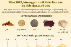 [Infographics] Xuất khẩu lâm sản năm 2019 dự kiến đạt 11 tỷ USD