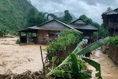 Ảnh minh họa. (Nguồn: TTXVN)