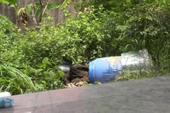 Hiện trường nơi phát hiện thi thể thứ hai được để trong thùng nhựa xanh. (Ảnh: Huyền Trang/TTXVN)