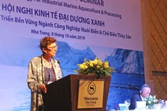 Bà Grete Lochen, Đại sứ Na Uy tại Việt Nam phát biểu tại hội nghị. (Ảnh: Nguyễn Dũng/TTXVN)