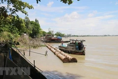 Ảnh minh họa. (Nguồn: TTXVN)