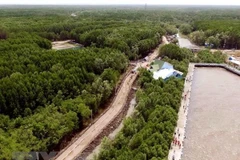 Toàn cảnh Khu Công viên văn hóa - Du lịch Mũi Cà Mau. (Ảnh: An Hiếu/TTXVN)