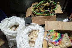 Tang vật bị thu giữ. (Nguồn: TTXVN)