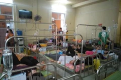 Ảnh minh họa. (Nguồn: TTXVN)