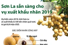 [Infographics] Sơn La sẵn sàng cho vụ xuất khẩu nhãn năm 2019