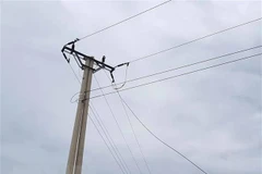 Ảnh minh họa. (Nguồn: TTXVN)