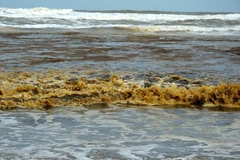 Nước biển có màu xám đen, nổi bọt vàng. (Ảnh: Phước Ngọc/TTXVN)