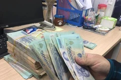 Ảnh minh họa. (Ảnh: TH/Vietnam+)