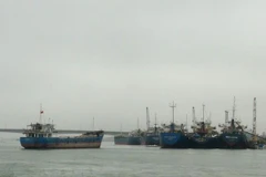 Ảnh minh họa. (Nguồn: TTXVN)