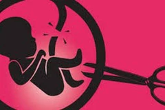 Ảnh minh họa (Ảnh: shevolutionuk)