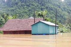 Nhà phao tránh lũ chủ yếu được xây lắp bằng gỗ, phía dưới sàn được gắn đỡ bằng các thùng phi nhựa rỗng loại 50 lít, có dây néo chặt ở các gốc và chèn trụ đỡ chắc chắn. Khi nước lũ lên đến đâu, nhà phao nổi đến đó, nước rút thì nhà xuống theo. (Ảnh: Võ Dun