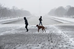 Tuyết phủ trắng xóa tại Washington D.C., Mỹ, ngày 20/2/2019. (Ảnh: THX/TTXVN)