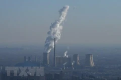 Ảnh minh họa. (Nguồn: AFP/TTXVN)