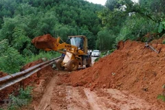 Ảnh minh họa. (Nguồn: TTXVN)