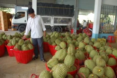 Ảnh minh họa. (Nguồn: TTXVN)