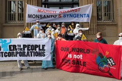 Monsanto bị cáo buộc chi phối giới khoa học và cơ quan quản lý