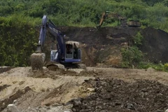 Ảnh minh họa. (Nguồn: TTXVN)