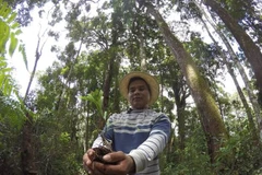 (Ảnh: Hùng Võ/Vietnam+)