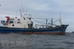 Tàu 67 của ông Phạm Ngọc Hoàng, phường 3, thành phố Vũng Tàu đã nằm bờ gần 1 năm nay. (Ảnh: Hoàng Nhị/TTXVN)