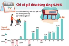 [Infographics] Chỉ số giá tiêu dùng tháng 11 năm 2019 tăng 0,96%