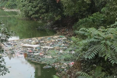 Một nhánh sông Bắc Hưng Hải, đoạn qua huyện Văn Lâm, Hưng Yên với nguồn nước ô nhiễm nghiêm trọng, đe dọa đến sức khỏe người dân. (Ảnh: Lan Chi/TTXVN)