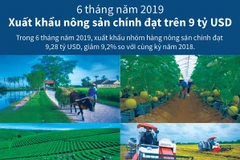 [Infographics] Xuất khẩu nông sản chính đạt trên 9 tỷ USD