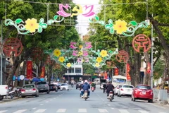 Phố Ngô Quyền được trang hoàng rực rỡ. (Ảnh: Đắc Giang/TTXVN)