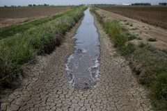 2.000 tỷ USD có thể “bốc hơi” vì nhiệt độ Trái Đất ấm lên