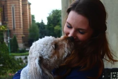 Ảnh minh họa. (Nguồn: lifehack.org)