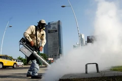  Nhân viên y tế phun thuốc diệt muỗi. (Nguồn: THX/TTXVN) 