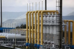 Ảnh minh họa. (Nguồn: AFP/TTXVN)