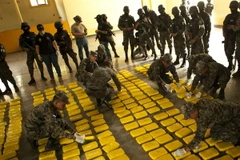 Colombia phá hủy hơn 100 trung tâm pha chế cocain bất hợp pháp