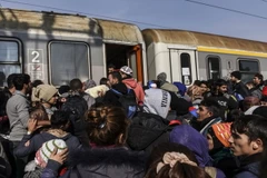 Người di cư tìm cách lên tàu tới Croatia sau khi vượt qua biên giới Macedonia-Serbia ở thị trấn Bujanovac. (Nguồn: AFP/TTXVN) 