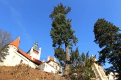 Ngày nay, Prague còn giữ nguyên vẹn hàng trăm cung điện, lâu đài, với những vòm tháp vàng nguy nga, tráng lệ. (Ảnh: Quang Hải/TTXVN)