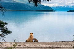 Bất kỳ ai cũng có những người thầy của riêng mình nhưng người thầy đầu tiên bao giờ cũng chính là bố mẹ của mình. 